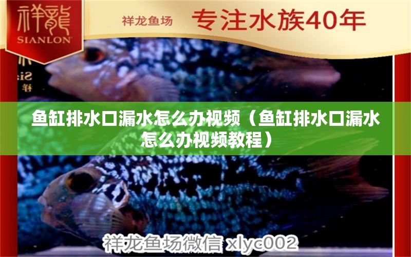 魚缸排水口漏水怎么辦視頻（魚缸排水口漏水怎么辦視頻教程）