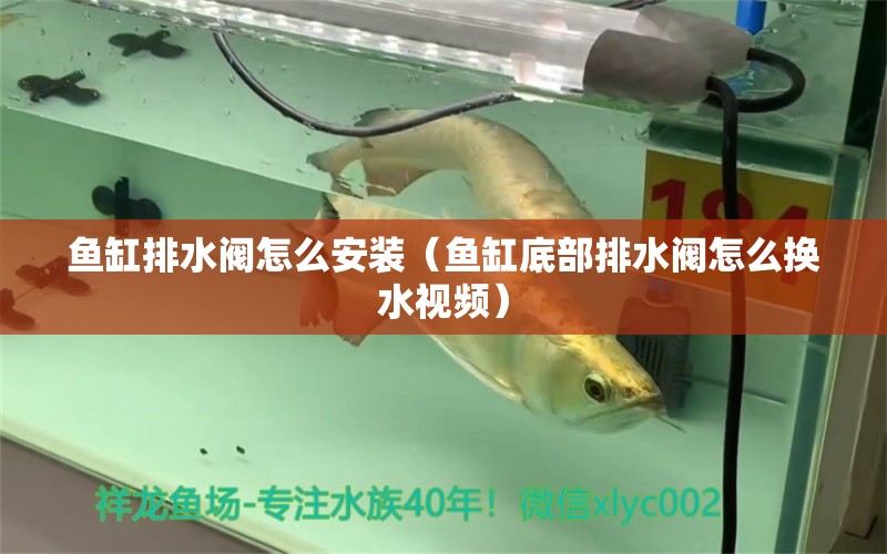 魚缸排水閥怎么安裝（魚缸底部排水閥怎么換水視頻） 觀賞魚批發(fā)