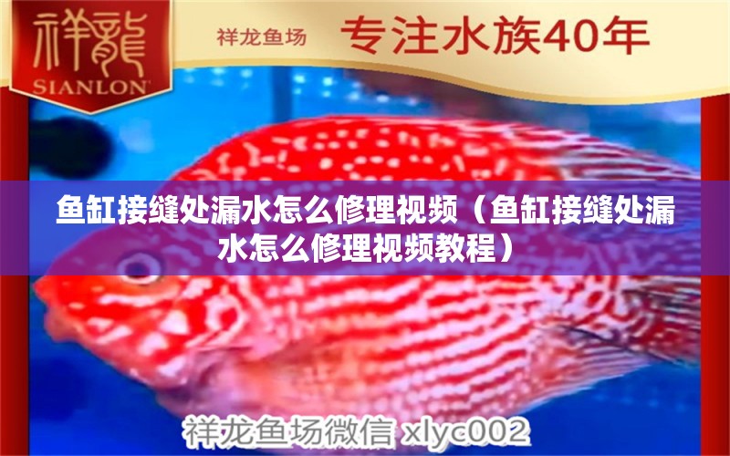 魚缸接縫處漏水怎么修理視頻（魚缸接縫處漏水怎么修理視頻教程）