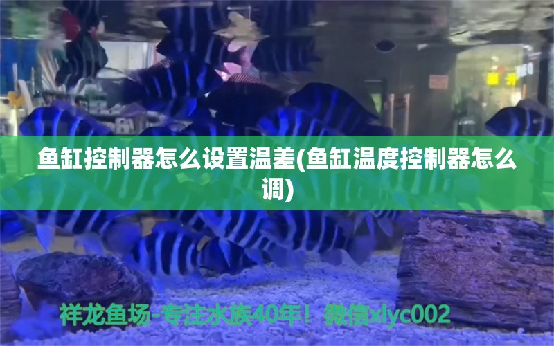 魚(yú)缸控制器怎么設(shè)置溫差(魚(yú)缸溫度控制器怎么調(diào)) 虎紋銀版魚(yú) 第1張