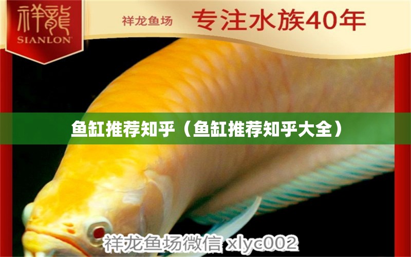 魚缸推薦知乎（魚缸推薦知乎大全） 招財(cái)戰(zhàn)船魚