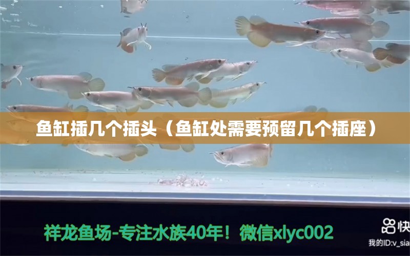 魚缸插幾個插頭（魚缸處需要預留幾個插座） 廣州觀賞魚批發(fā)市場