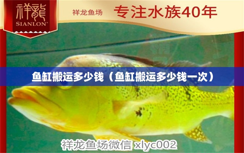 魚缸搬運多少錢（魚缸搬運多少錢一次）