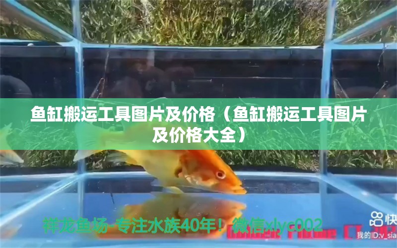 魚缸搬運工具圖片及價格（魚缸搬運工具圖片及價格大全）