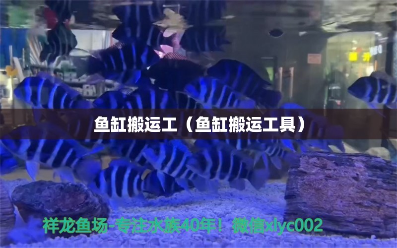 魚缸搬運工（魚缸搬運工具）