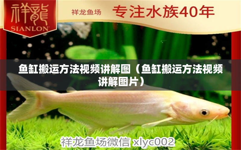 魚(yú)缸搬運(yùn)方法視頻講解圖（魚(yú)缸搬運(yùn)方法視頻講解圖片）