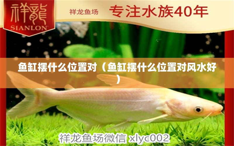 魚缸擺什么位置對（魚缸擺什么位置對風(fēng)水好） 魚缸風(fēng)水