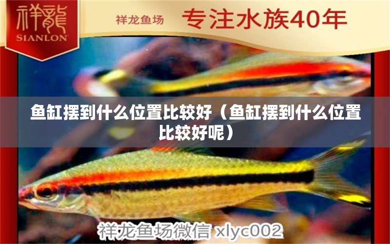 魚缸擺到什么位置比較好（魚缸擺到什么位置比較好呢） 其他品牌魚缸