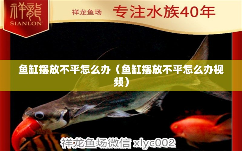 魚缸擺放不平怎么辦（魚缸擺放不平怎么辦視頻） 其他品牌魚缸