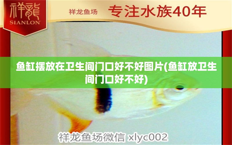 魚缸擺放在衛(wèi)生間門口好不好圖片(魚缸放衛(wèi)生間門口好不好) 翡翠鳳凰魚 第1張