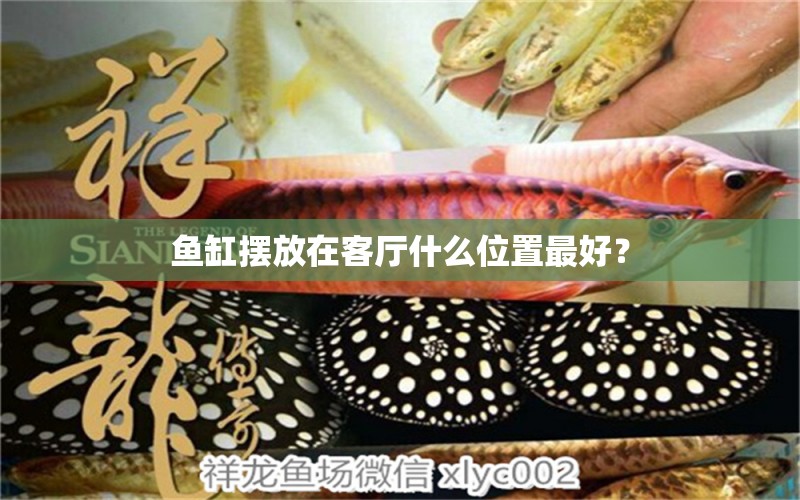 魚缸擺放在客廳什么位置最好？ 黑白雙星魚