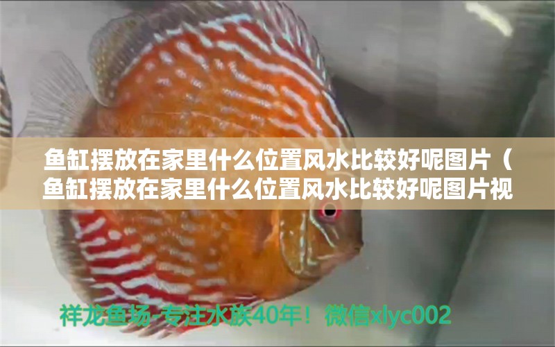 魚缸擺放在家里什么位置風水比較好呢圖片（魚缸擺放在家里什么位置風水比較好呢圖片視頻）