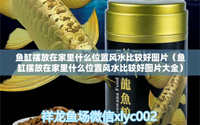 魚缸擺放在家里什么位置風水比較好圖片（魚缸擺放在家里什么位置風水比較好圖片大全）