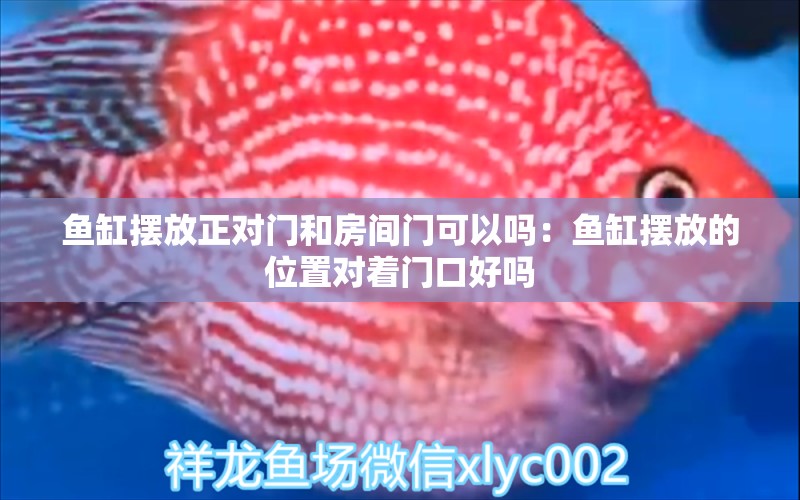 魚(yú)缸擺放正對(duì)門(mén)和房間門(mén)可以嗎：魚(yú)缸擺放的位置對(duì)著門(mén)口好嗎