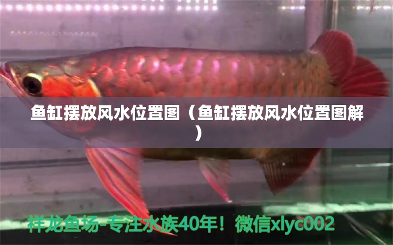 魚缸擺放風水位置圖（魚缸擺放風水位置圖解）