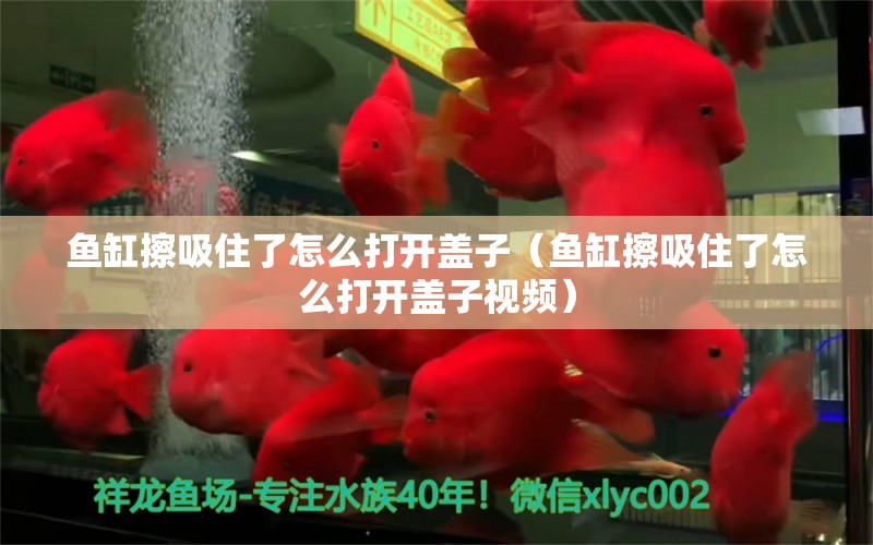 魚缸擦吸住了怎么打開蓋子（魚缸擦吸住了怎么打開蓋子視頻） 祥龍水族醫(yī)院