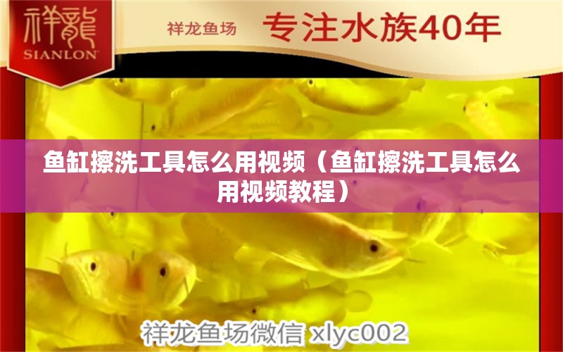 魚缸擦洗工具怎么用視頻（魚缸擦洗工具怎么用視頻教程）