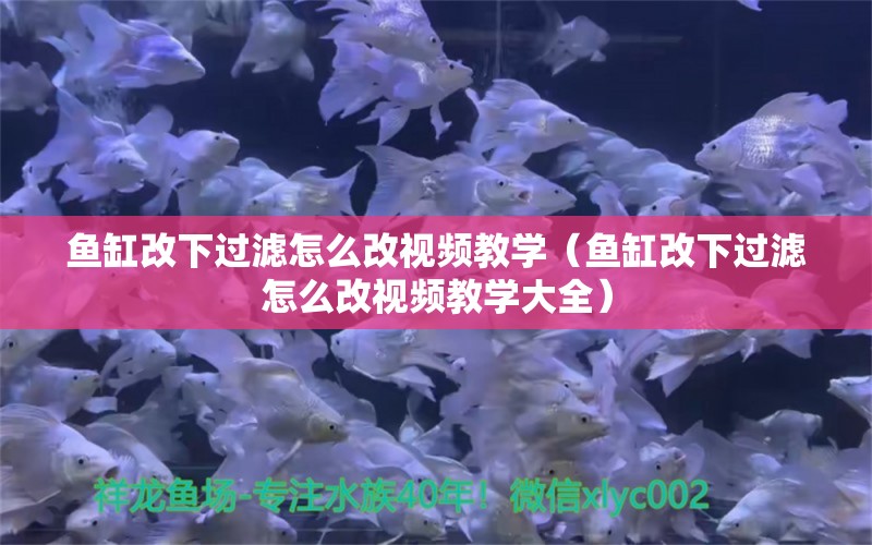 魚缸改下過濾怎么改視頻教學(xué)（魚缸改下過濾怎么改視頻教學(xué)大全）