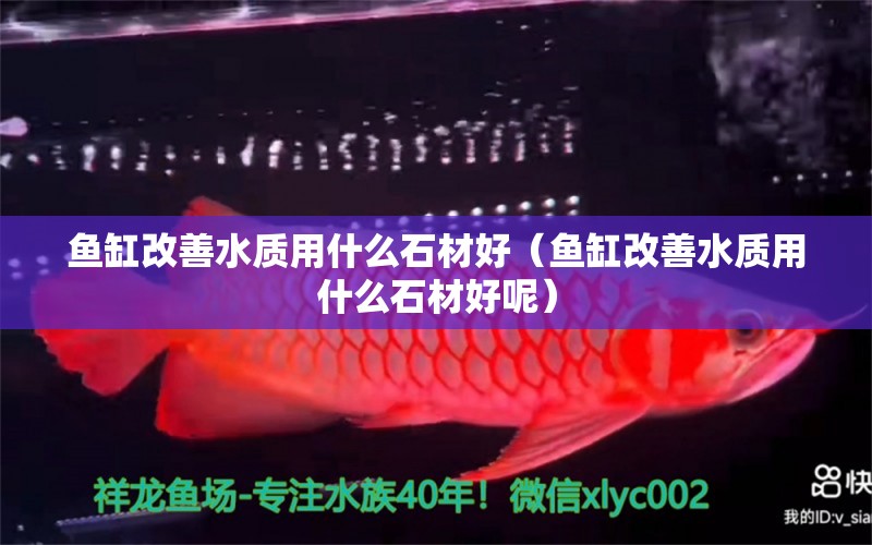 魚缸改善水質(zhì)用什么石材好（魚缸改善水質(zhì)用什么石材好呢） 其他品牌魚缸