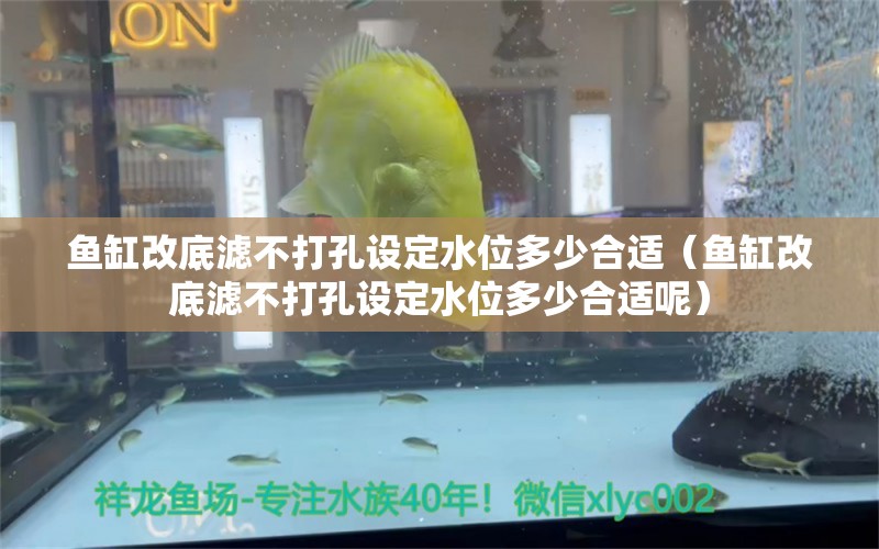 魚缸改底濾不打孔設(shè)定水位多少合適（魚缸改底濾不打孔設(shè)定水位多少合適呢）