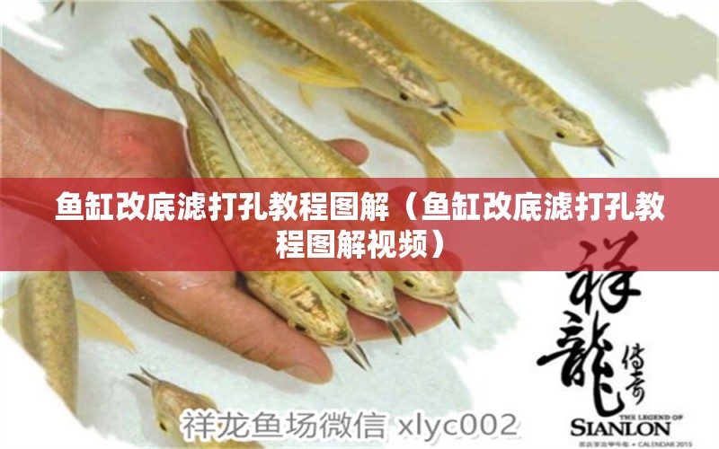 魚缸改底濾打孔教程圖解（魚缸改底濾打孔教程圖解視頻）