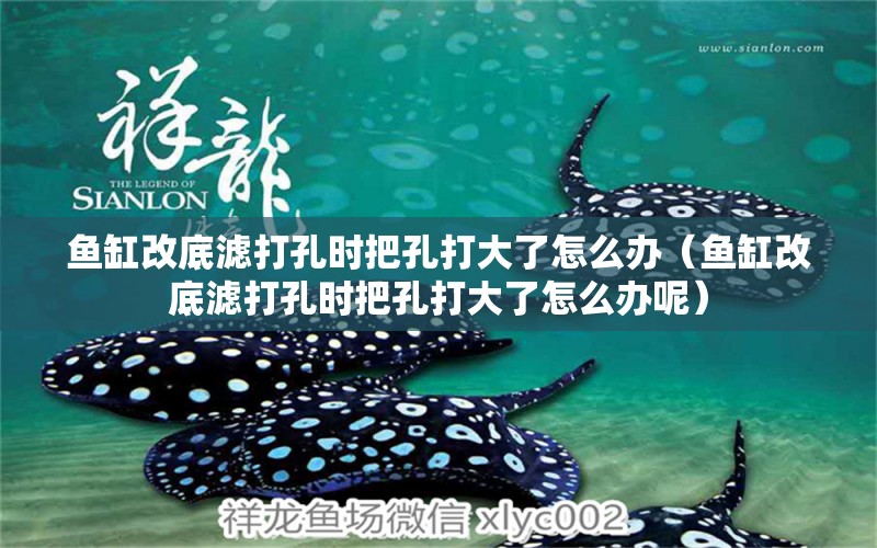 魚(yú)缸改底濾打孔時(shí)把孔打大了怎么辦（魚(yú)缸改底濾打孔時(shí)把孔打大了怎么辦呢）