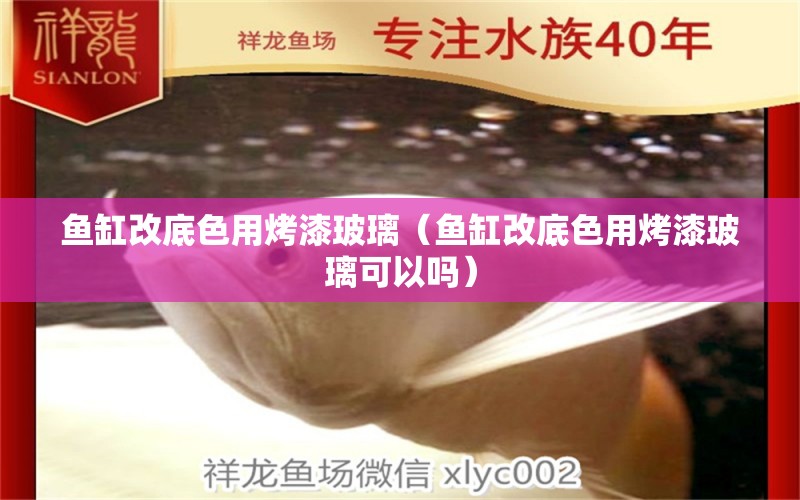 魚缸改底色用烤漆玻璃（魚缸改底色用烤漆玻璃可以嗎）