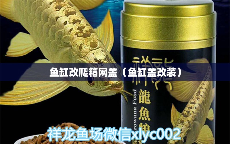 魚缸改爬箱網(wǎng)蓋（魚缸蓋改裝）