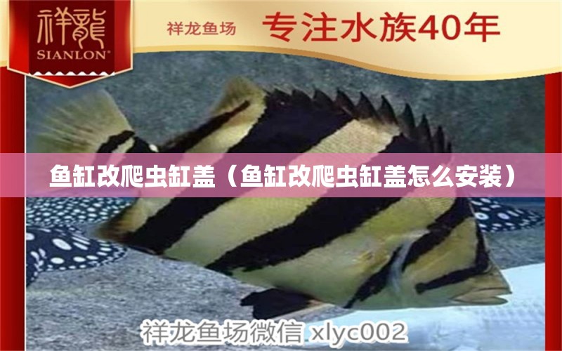 魚缸改爬蟲缸蓋（魚缸改爬蟲缸蓋怎么安裝）