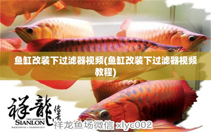 魚缸改裝下過濾器視頻(魚缸改裝下過濾器視頻教程) 金老虎魚