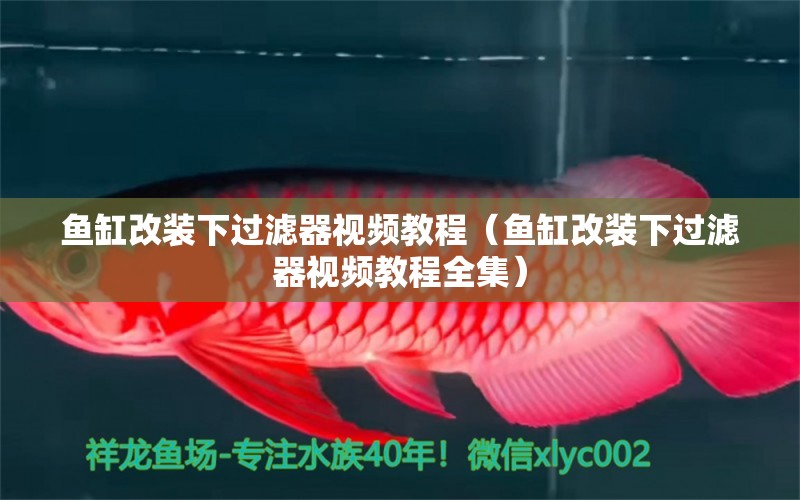 魚缸改裝下過濾器視頻教程（魚缸改裝下過濾器視頻教程全集）