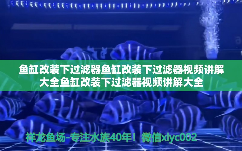 魚缸改裝下過濾器魚缸改裝下過濾器視頻講解大全魚缸改裝下過濾器視頻講解大全