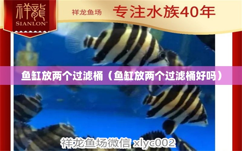 魚缸放兩個過濾桶（魚缸放兩個過濾桶好嗎） 紅化白子銀龍