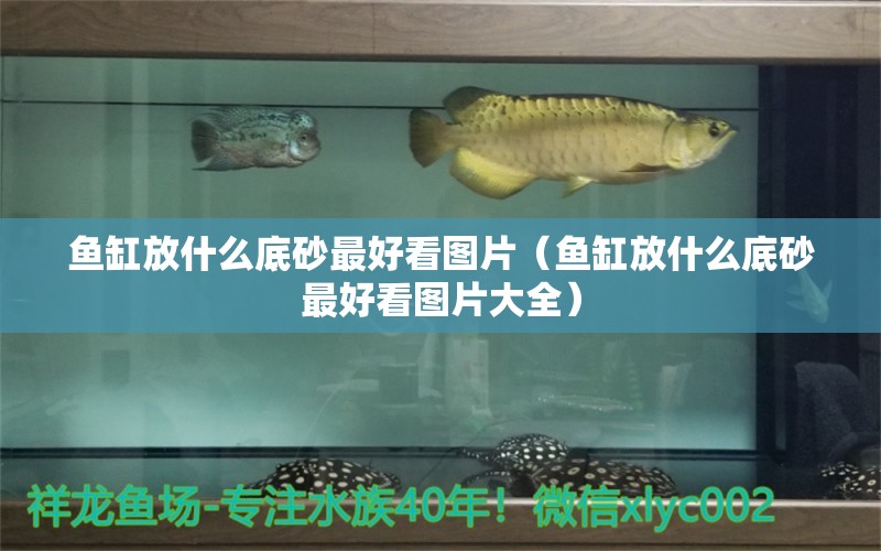 魚缸放什么底砂最好看圖片（魚缸放什么底砂最好看圖片大全）