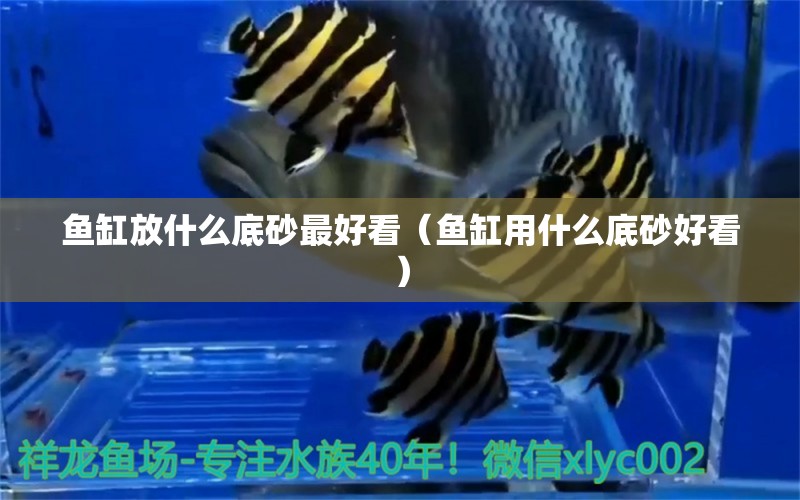 魚(yú)缸放什么底砂最好看（魚(yú)缸用什么底砂好看） 泰龐海蓮魚(yú)