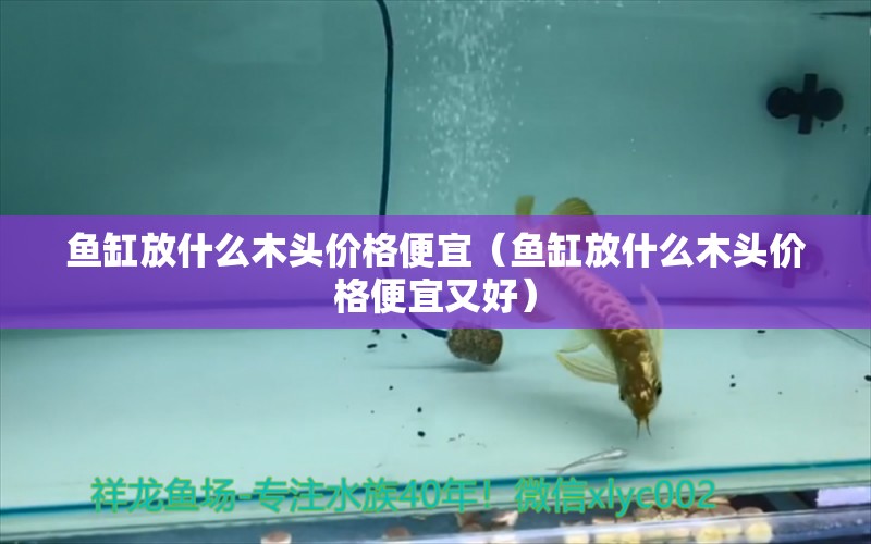 魚缸放什么木頭價格便宜（魚缸放什么木頭價格便宜又好）