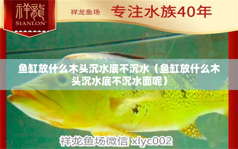 魚(yú)缸放什么木頭沉水底不沉水（魚(yú)缸放什么木頭沉水底不沉水面呢） 其他品牌魚(yú)缸