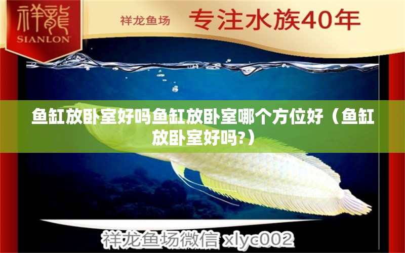 魚缸放臥室好嗎魚缸放臥室哪個方位好（魚缸放臥室好嗎?） 暹羅巨鯉