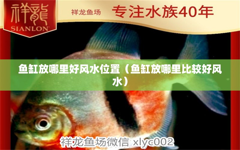 魚(yú)缸放哪里好風(fēng)水位置（魚(yú)缸放哪里比較好風(fēng)水） 魚(yú)缸風(fēng)水