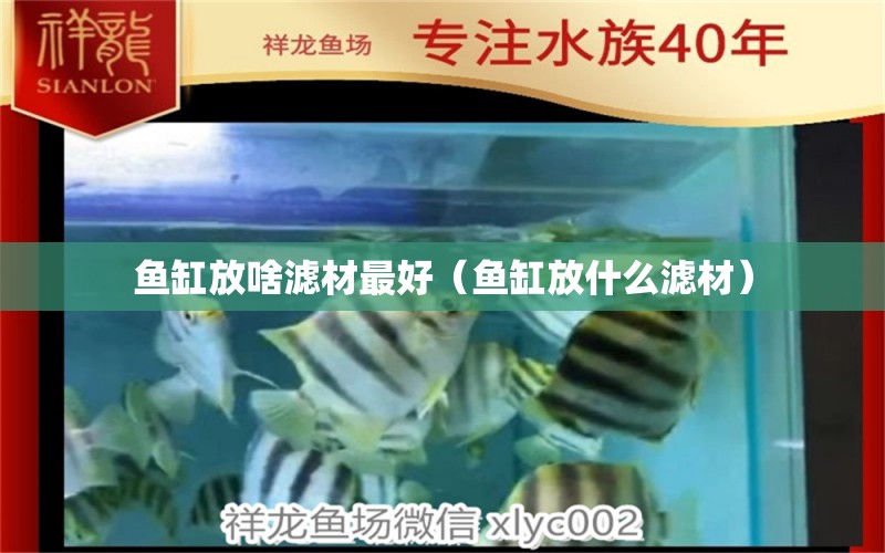 魚缸放啥濾材最好（魚缸放什么濾材）