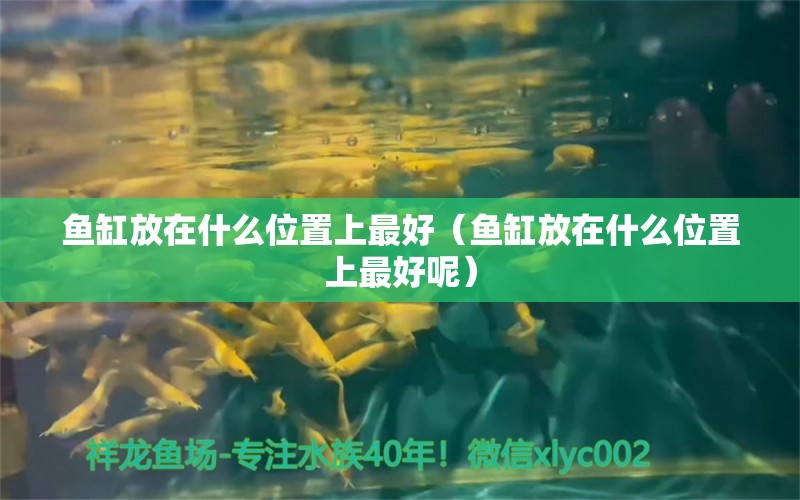 魚缸放在什么位置上最好（魚缸放在什么位置上最好呢）