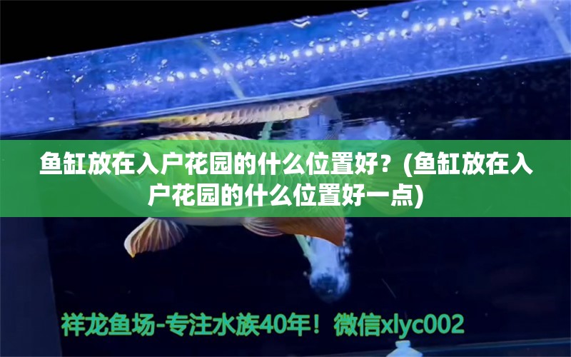 魚缸放在入戶花園的什么位置好？(魚缸放在入戶花園的什么位置好一點) 野彩魚