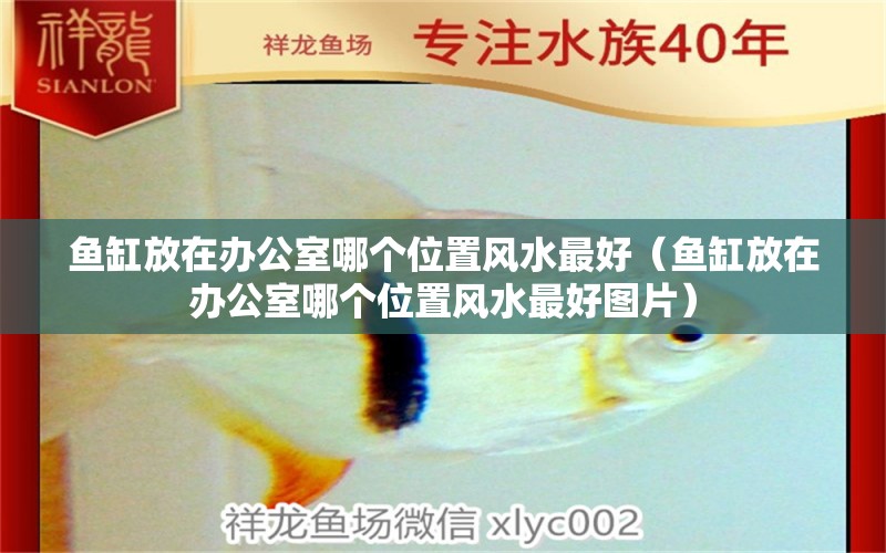 魚缸放在辦公室哪個位置風(fēng)水最好（魚缸放在辦公室哪個位置風(fēng)水最好圖片） 魚缸風(fēng)水