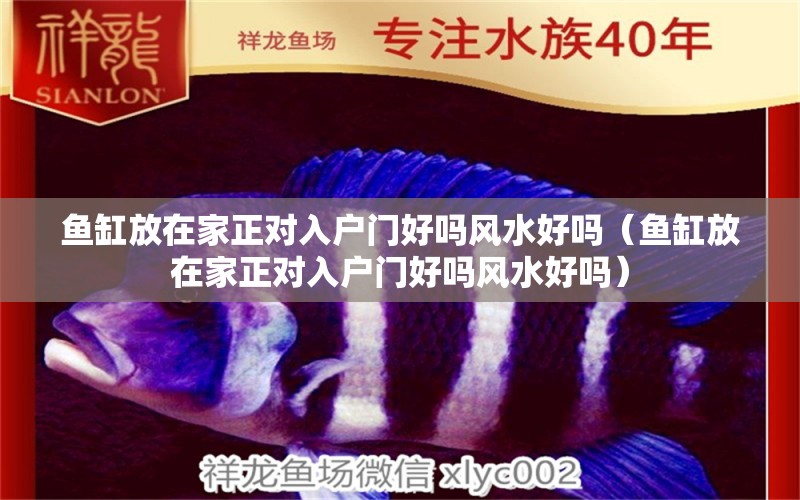 魚缸放在家正對(duì)入戶門好嗎風(fēng)水好嗎（魚缸放在家正對(duì)入戶門好嗎風(fēng)水好嗎）