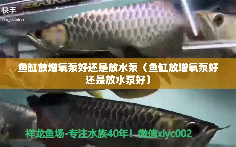 魚(yú)缸放增氧泵好還是放水泵（魚(yú)缸放增氧泵好還是放水泵好） 祥龍水族醫(yī)院