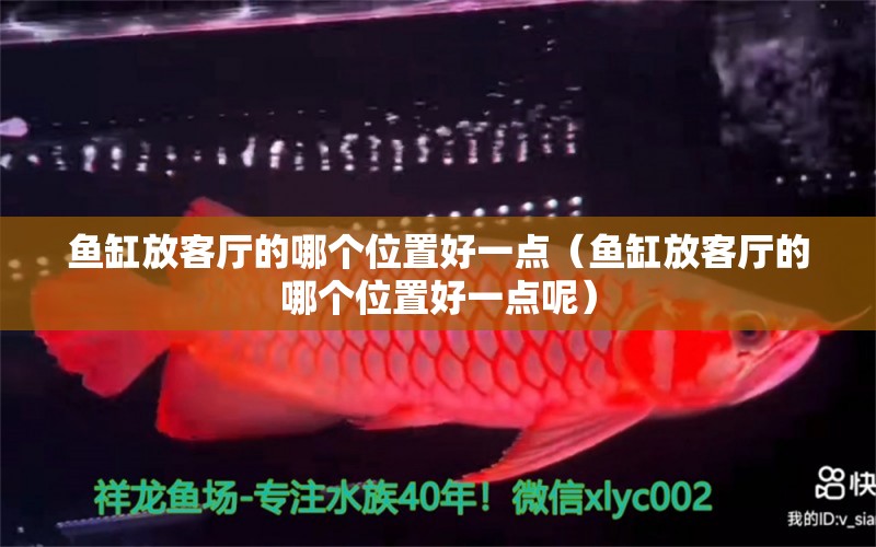 魚缸放客廳的哪個位置好一點（魚缸放客廳的哪個位置好一點呢）