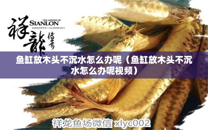 魚(yú)缸放木頭不沉水怎么辦呢（魚(yú)缸放木頭不沉水怎么辦呢視頻）