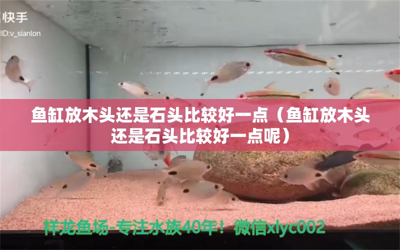 魚(yú)缸放木頭還是石頭比較好一點(diǎn)（魚(yú)缸放木頭還是石頭比較好一點(diǎn)呢） 其他品牌魚(yú)缸