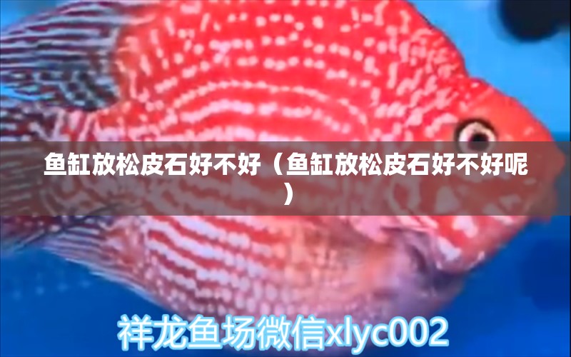 魚(yú)缸放松皮石好不好（魚(yú)缸放松皮石好不好呢） 其他品牌魚(yú)缸