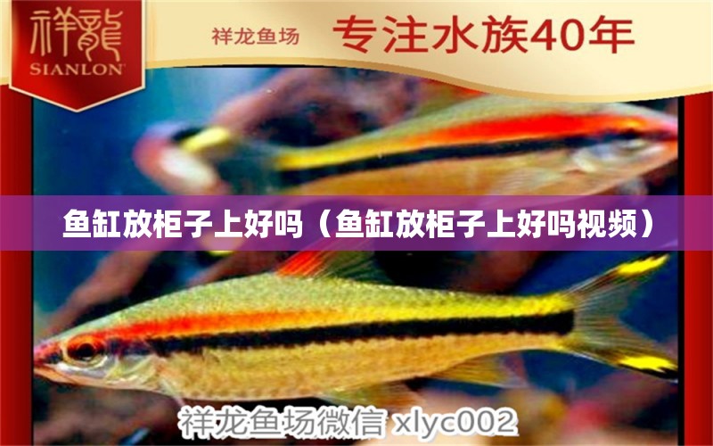 魚(yú)缸放柜子上好嗎（魚(yú)缸放柜子上好嗎視頻）